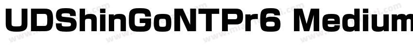 UDShinGoNTPr6 Medium字体转换